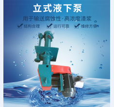 立式液下(xià)泵