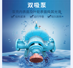 雙吸(xī)泵